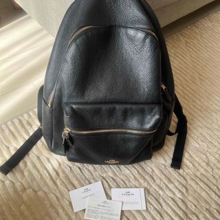 COACH - ⭐️超希少⭐️オールドコーチ ラージデイパックLL COACH - ⭐️超希少⭐️オールドコーチ ラージデイパックLL