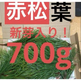 赤松の葉　野菜　岡山県産　即日発送　即購入可能(野菜)