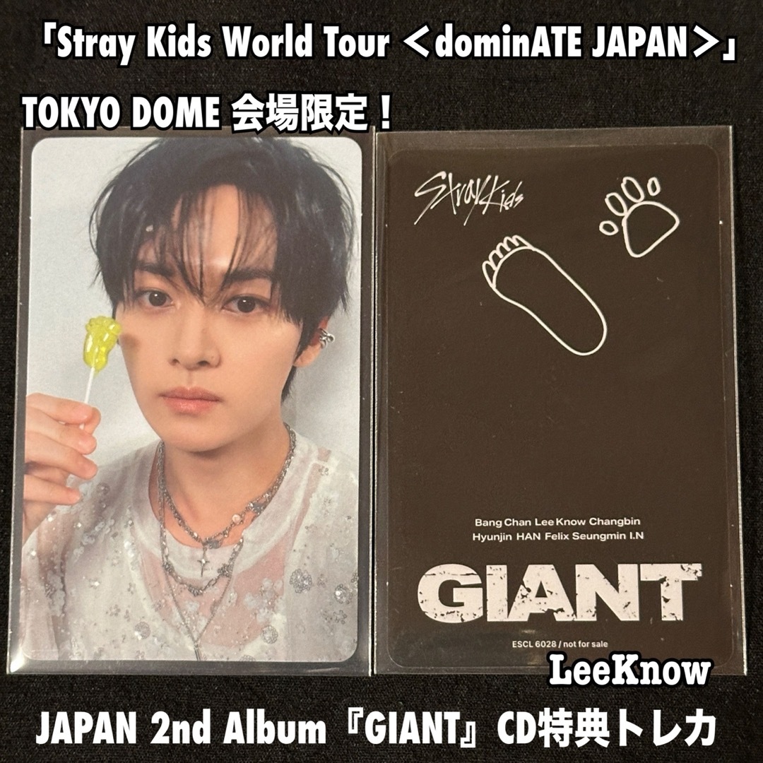 Stray Kids - StrayKids スキズ リノ GIANT 東京 通常盤 封入 Stray Kids - StrayKids スキズ リノ GIANT 東京 通常盤 封入