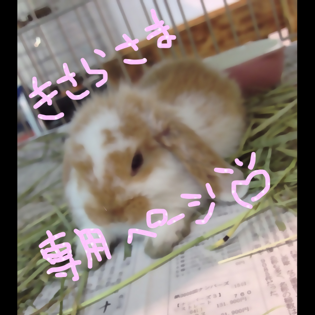 axes femme - きさらさま専用ページ♡