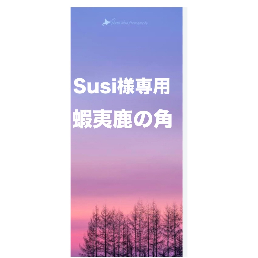鹿の角　鹿のツノ　鹿角　鹿ツノ　蝦夷鹿　角　ハンドメイド　クラフト　材料