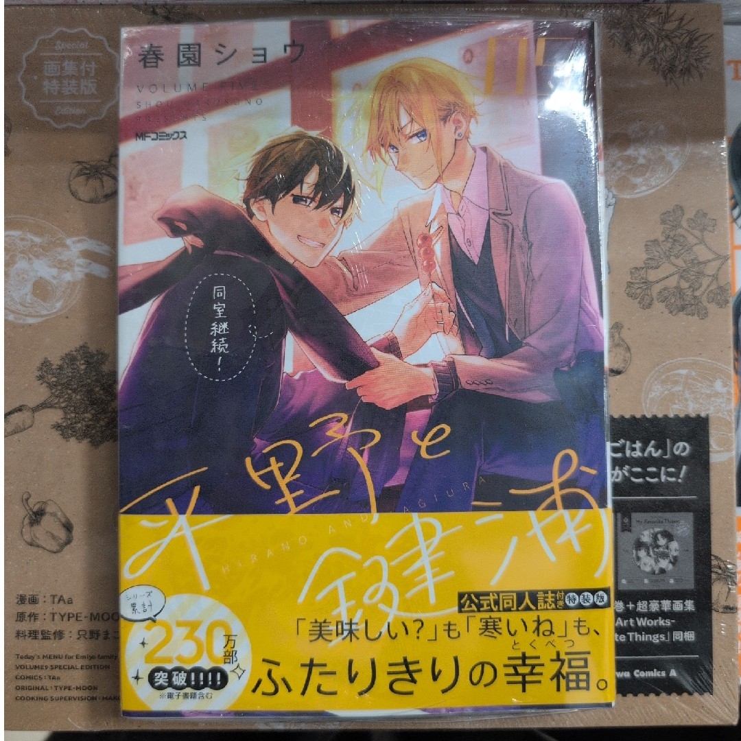 【新品未開封】平野と鍵浦 5巻 公式同人誌付き特装版 エンタメ/ホビーの漫画(ボーイズラブ(BL))の商品写真