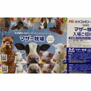 ２枚組送料無料マザー牧場入場ご招待券A(遊園地/テーマパーク)