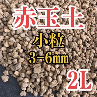 赤玉土 小粒 2L 園芸用土 アクアテラリウム(その他)