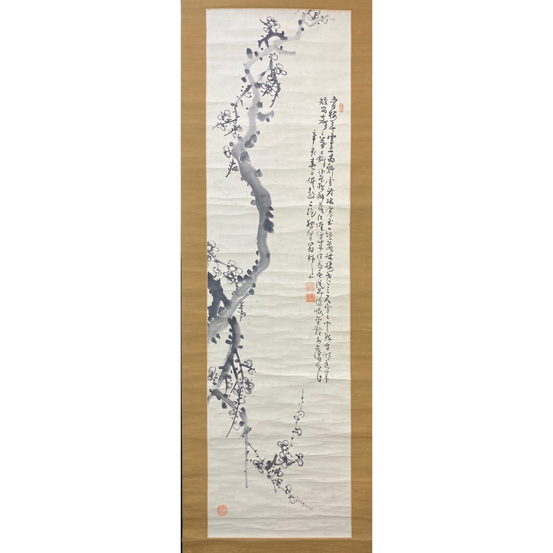 梅花53