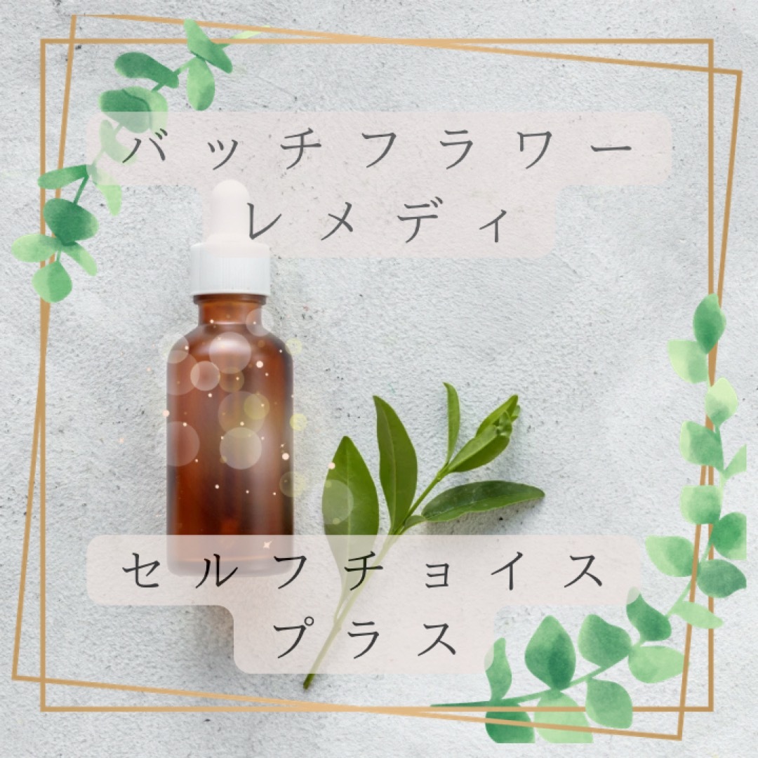 Bach FLOWER REMEDIES(バッチフラワーレメディ)のバッチフラワーレメディ セルフチョイスプラス コスメ/美容のリラクゼーション(その他)の商品写真