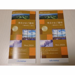 ◎2冊（20000円分） 西武 株主優待券 共通割引券他(その他)