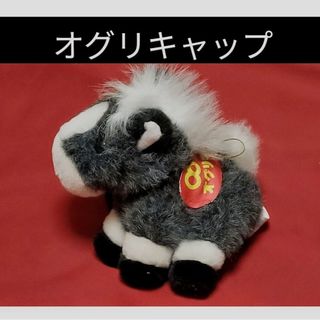 ぬいぐるみ オグリキャップのフリマアイテム一覧 ぬいぐるみ オグリキャップのフリマアイテム一覧