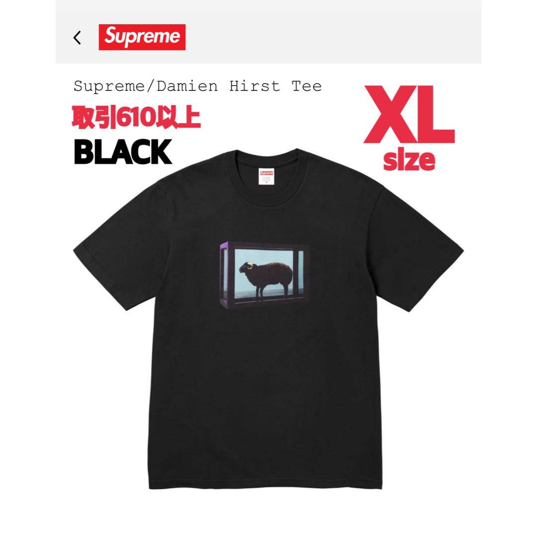 Supreme - Supreme Damien Hirst Tee Black XLサイズの通販 by Supreme - Supreme Damien Hirst Tee Black XLサイズの通販 by