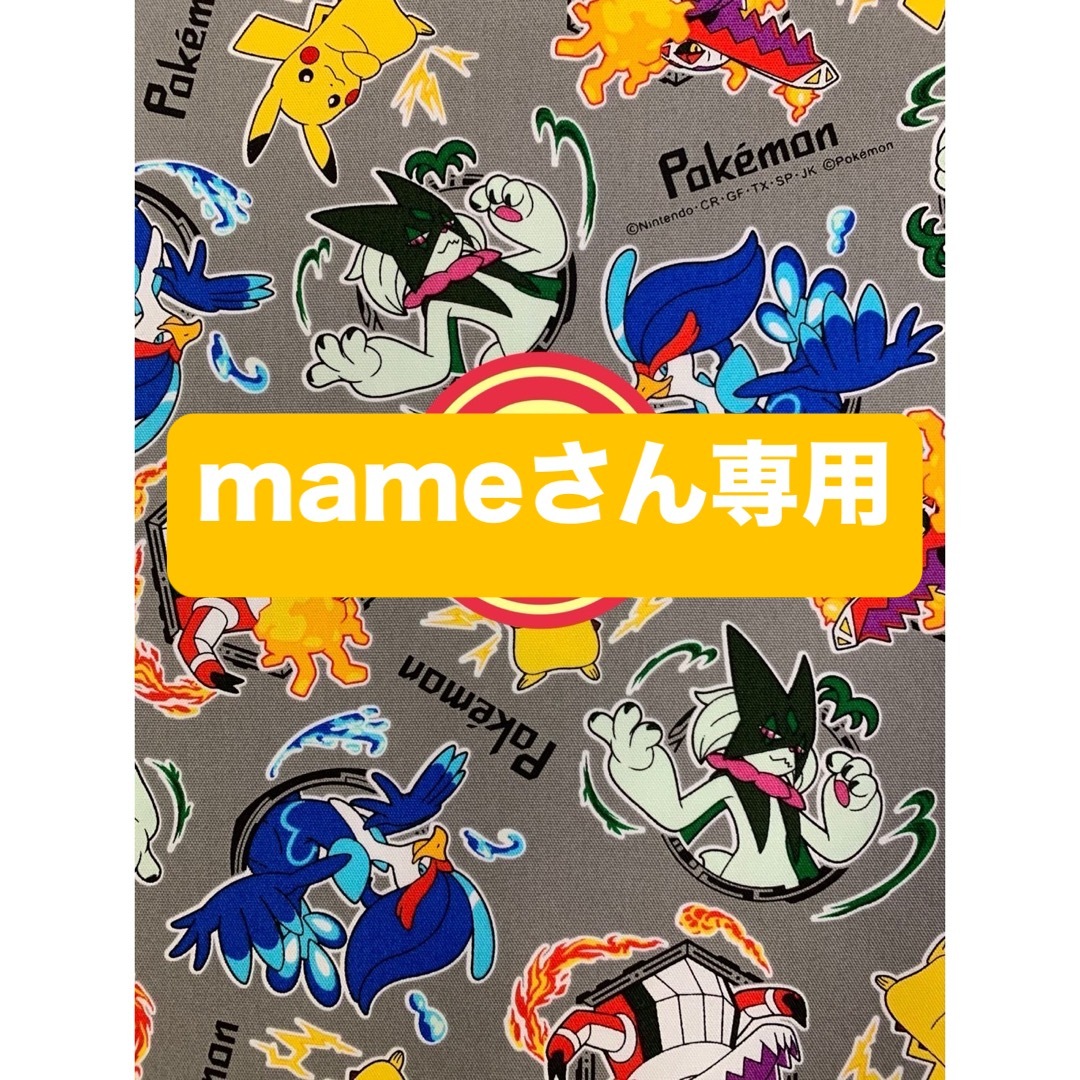 ポケモン(ポケモン)のmameさん専用 オーダー ハンドメイド その他のその他(オーダーメイド)の商品写真