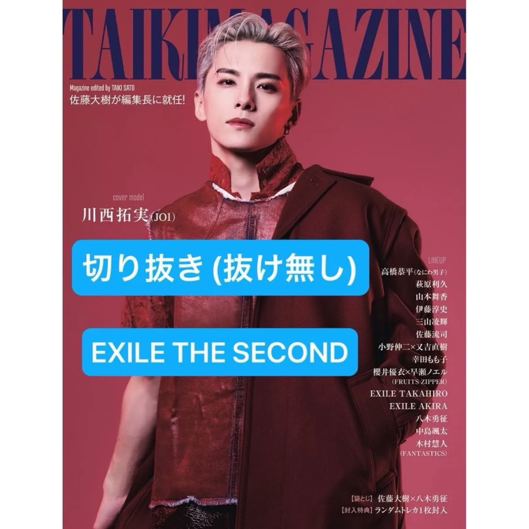 EXILE THE SECOND(エグザイルザセカンド)のEXILE THE SECOND 独占!ライブ潜入レポート 切り抜き エンタメ/ホビーのタレントグッズ(アイドルグッズ)の商品写真