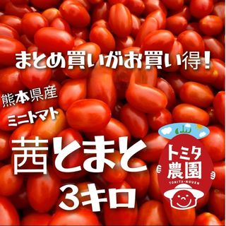 熊本県産ミニトマト「茜とまと３キロ」(野菜)