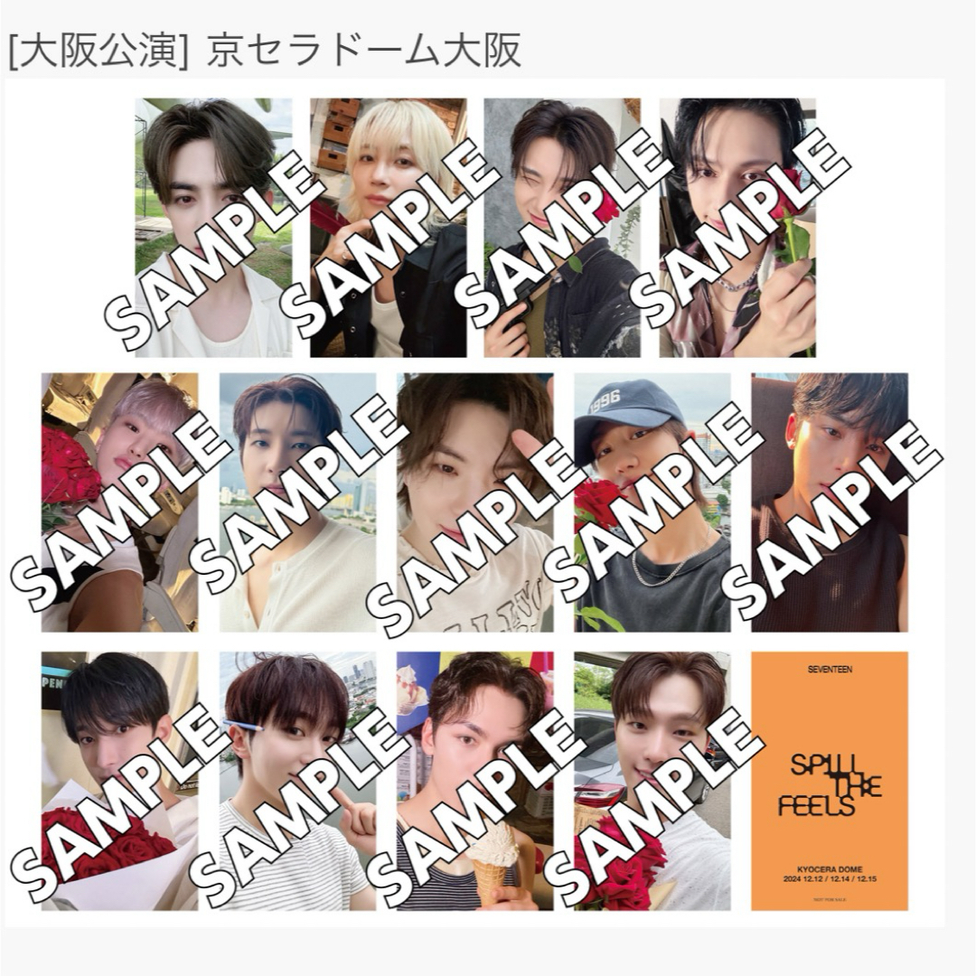 SEVENTEEN SPILL THE FEELS トレカ　愛知　会場限定