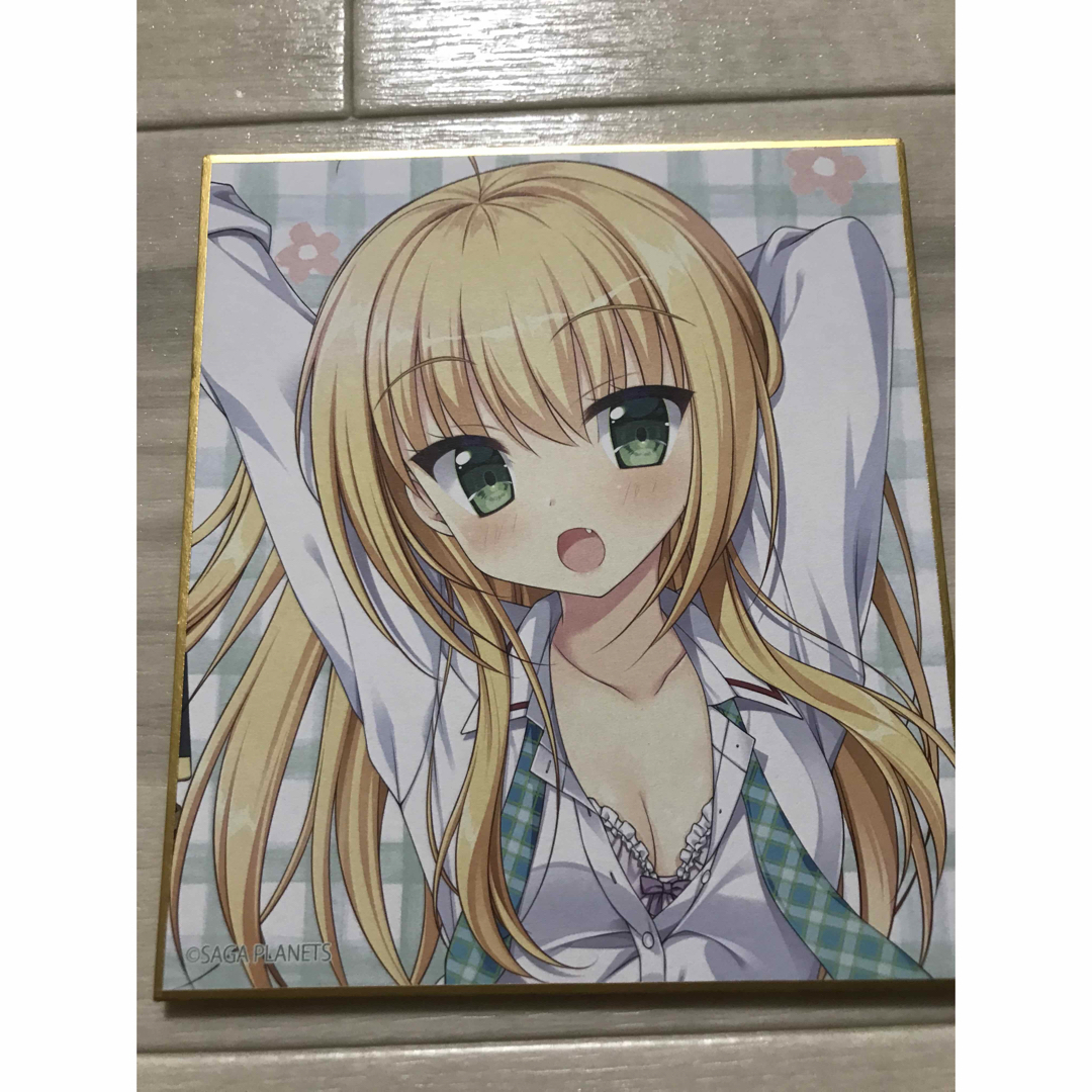 AMBITIOUS MISSION ミニ色紙 サガプラ シャル エンタメ/ホビーのアニメグッズ(その他)の商品写真