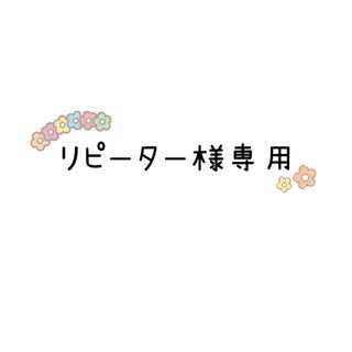 リピーター様専用(その他)