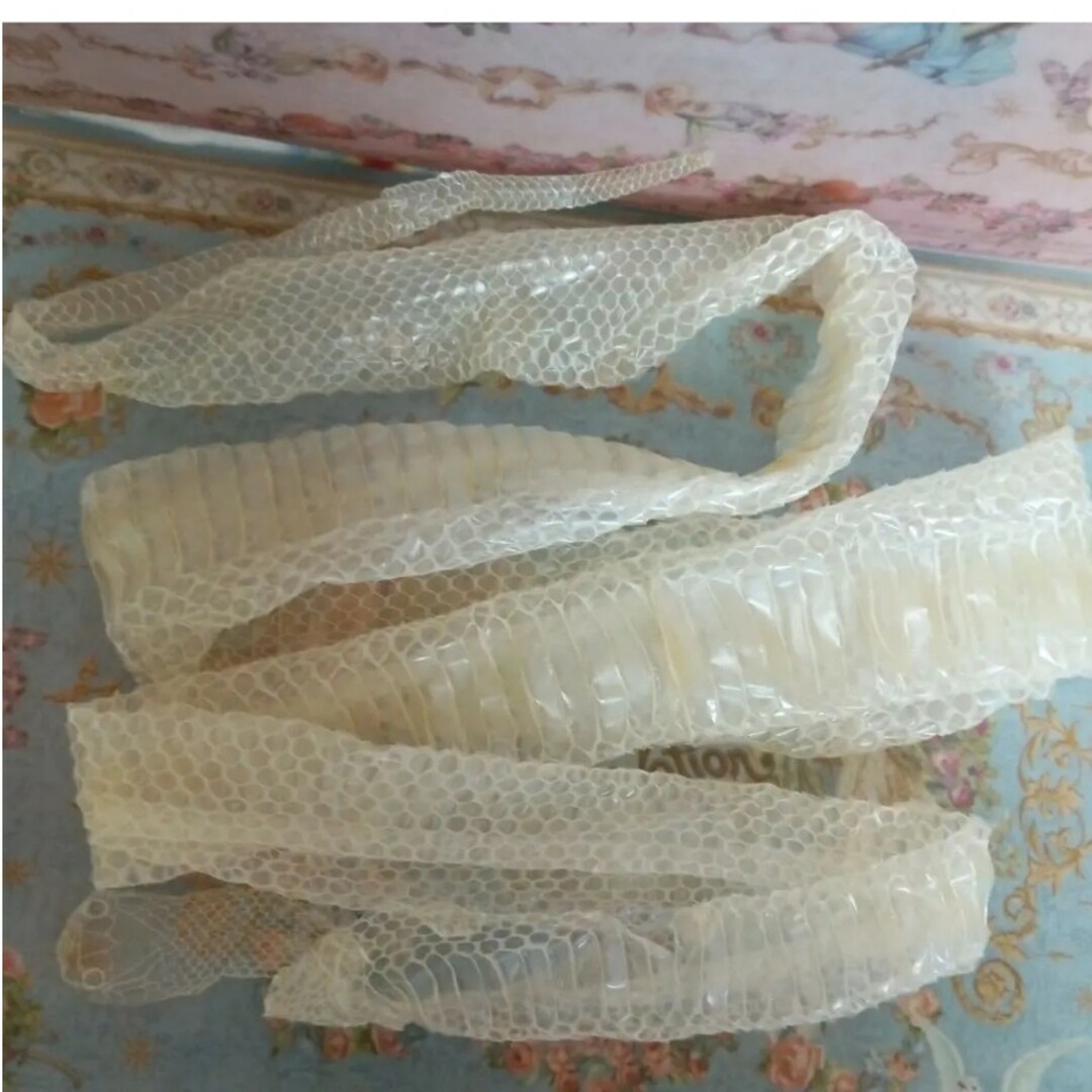 E74 縁起物 ヘビ皮 コーンスネーク2月脱皮 その他のペット用品(爬虫類/両生類用品)の商品写真