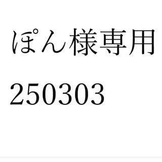 ぽん様専用 250303(その他)