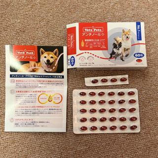 アンチノール(犬)
