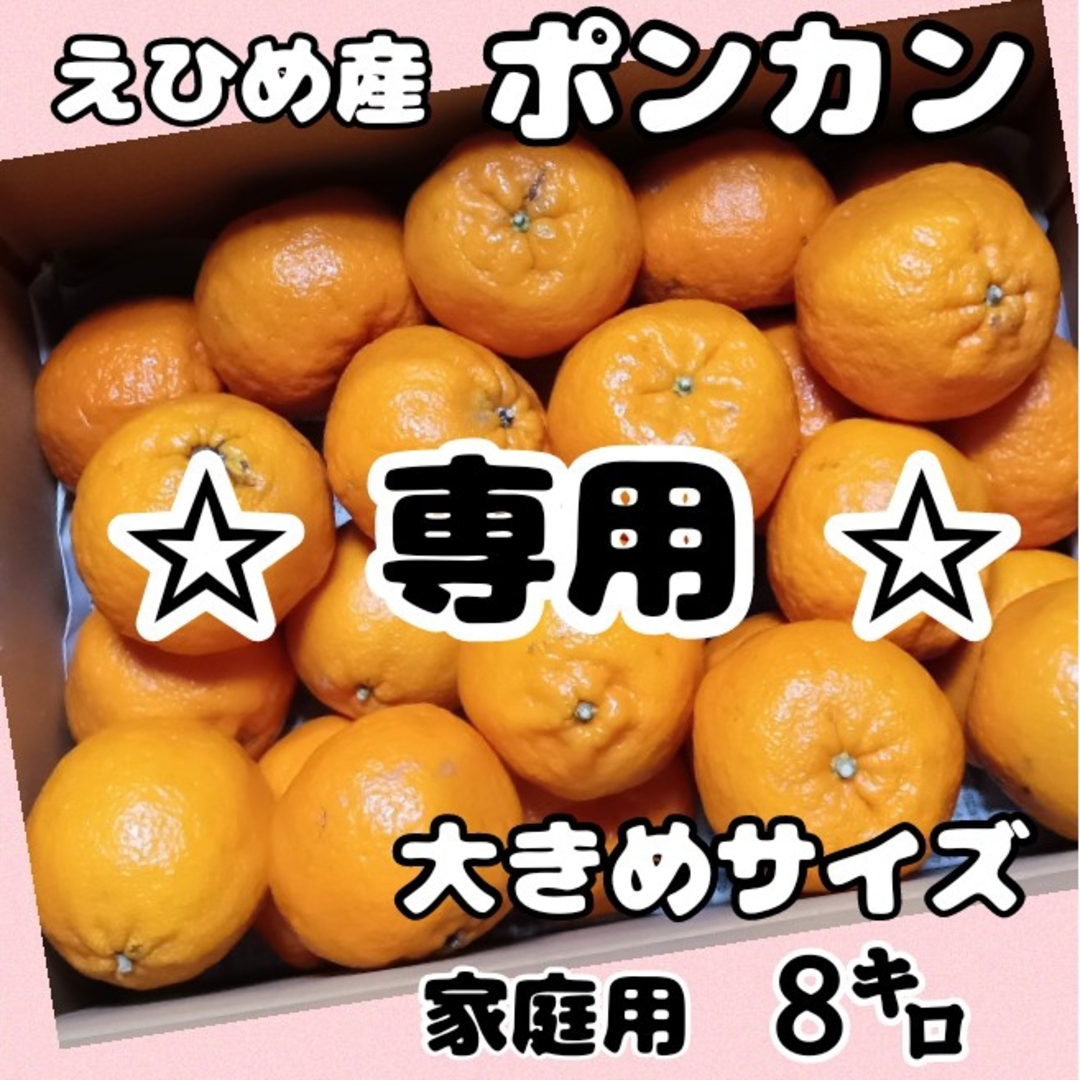 ✩くま🐻 様✩専用 ポンカン 8キロ 食品/飲料/酒の食品(フルーツ)の商品写真