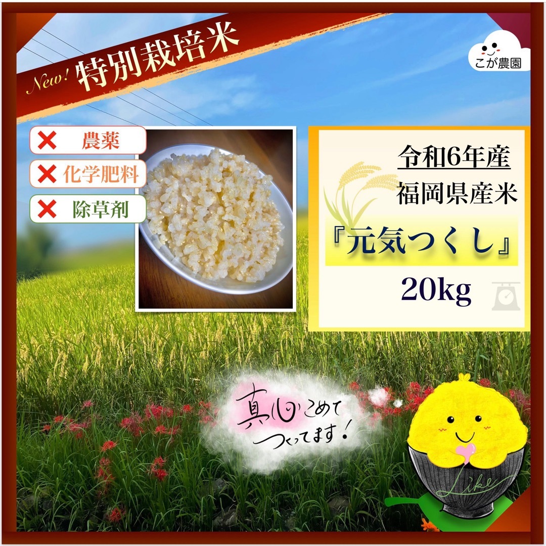 準自然米　福岡県産「元気つくし」令和6年産　玄米20kg  発芽玄米におすすめ