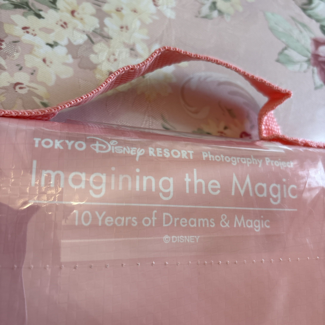 Disney(ディズニー)のDisney 🎀 Imagining the Magic レジャーシート🎂バッチ エンタメ/ホビーのおもちゃ/ぬいぐるみ(キャラクターグッズ)の商品写真