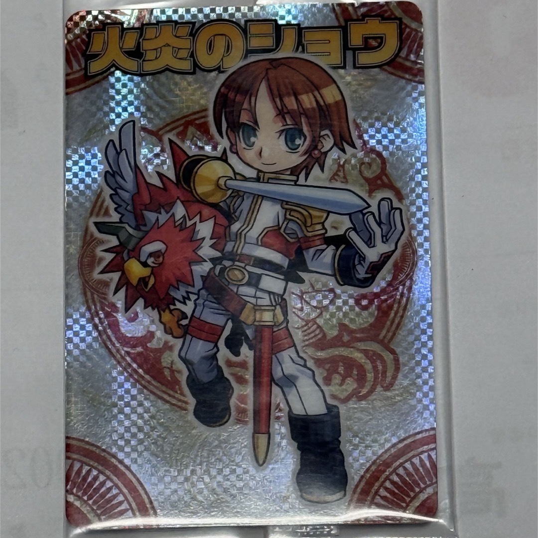 森羅万象チョコ エンタメ/ホビーのアニメグッズ(カード)の商品写真