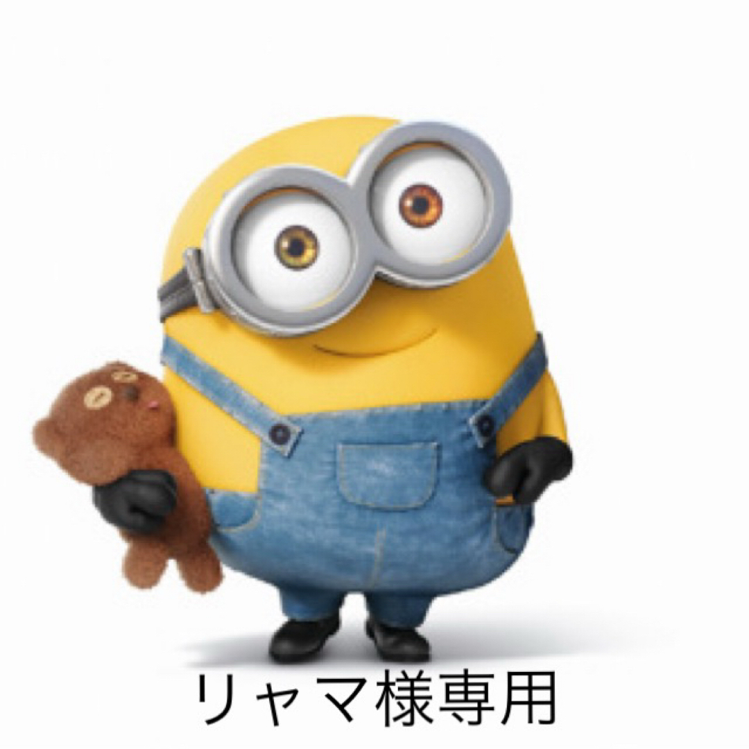 リャマ様専用ページ エンタメ/ホビーのタレントグッズ(アイドルグッズ)の商品写真
