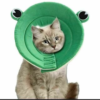 涙やけ グルーミングパウダー Eye Envy 犬猫用 中の通販 by