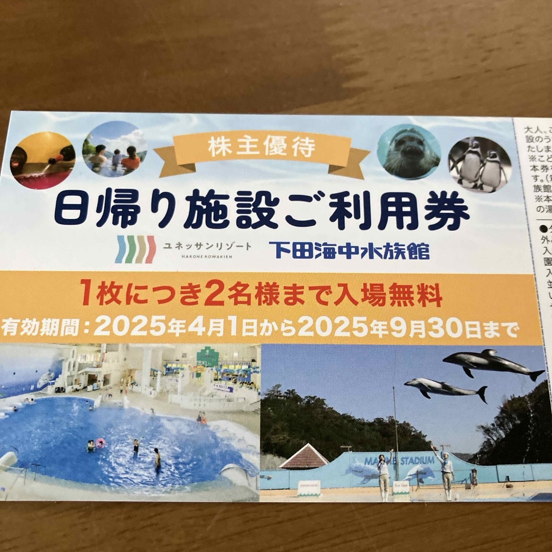 藤田観光 株主優待 日帰り施設ご利用券 × 1枚 チケットの施設利用券(遊園地/テーマパーク)の商品写真