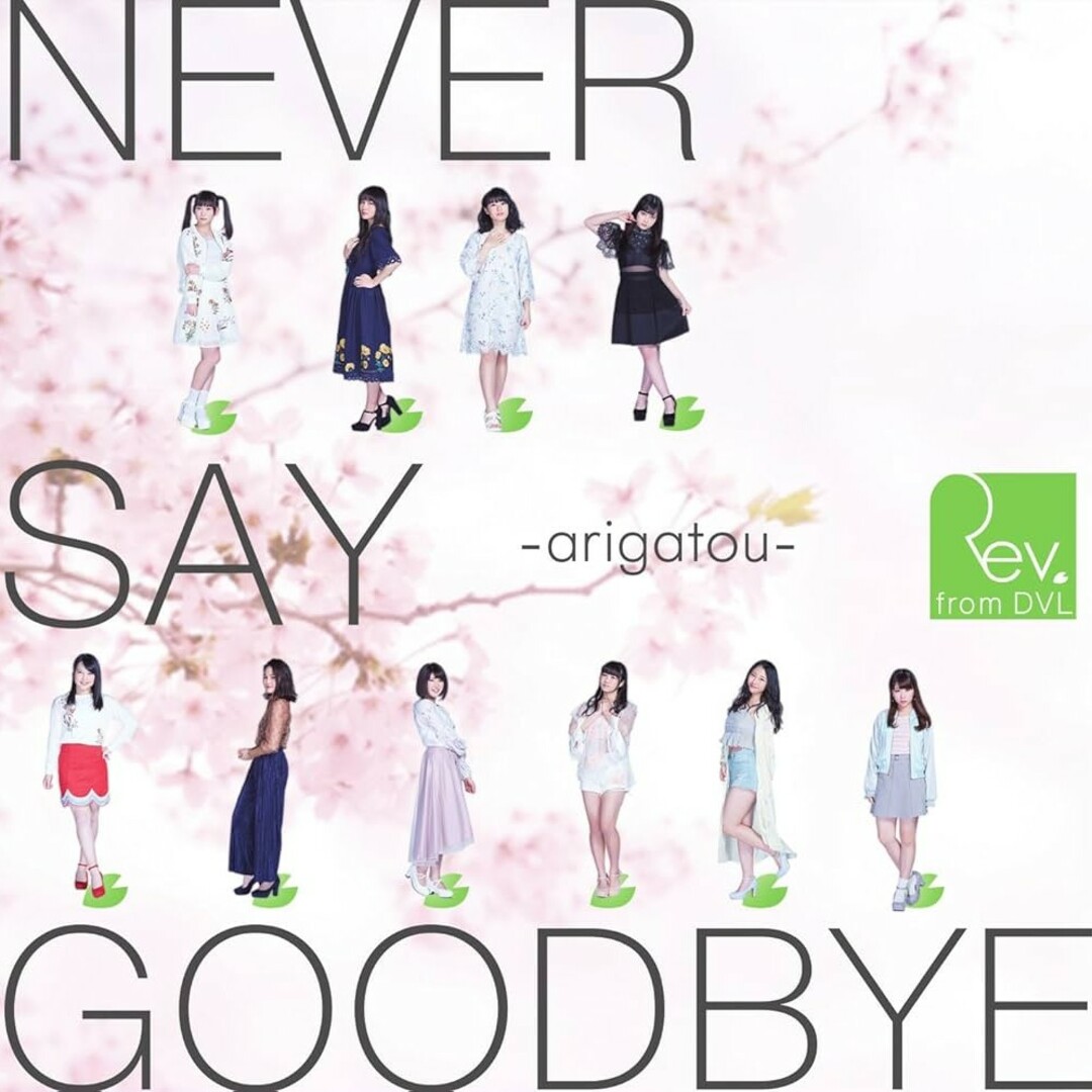 Rev.from DVL「NEVER SAY GOODBYE」Type-A 中古 エンタメ/ホビーのタレントグッズ(アイドルグッズ)の商品写真