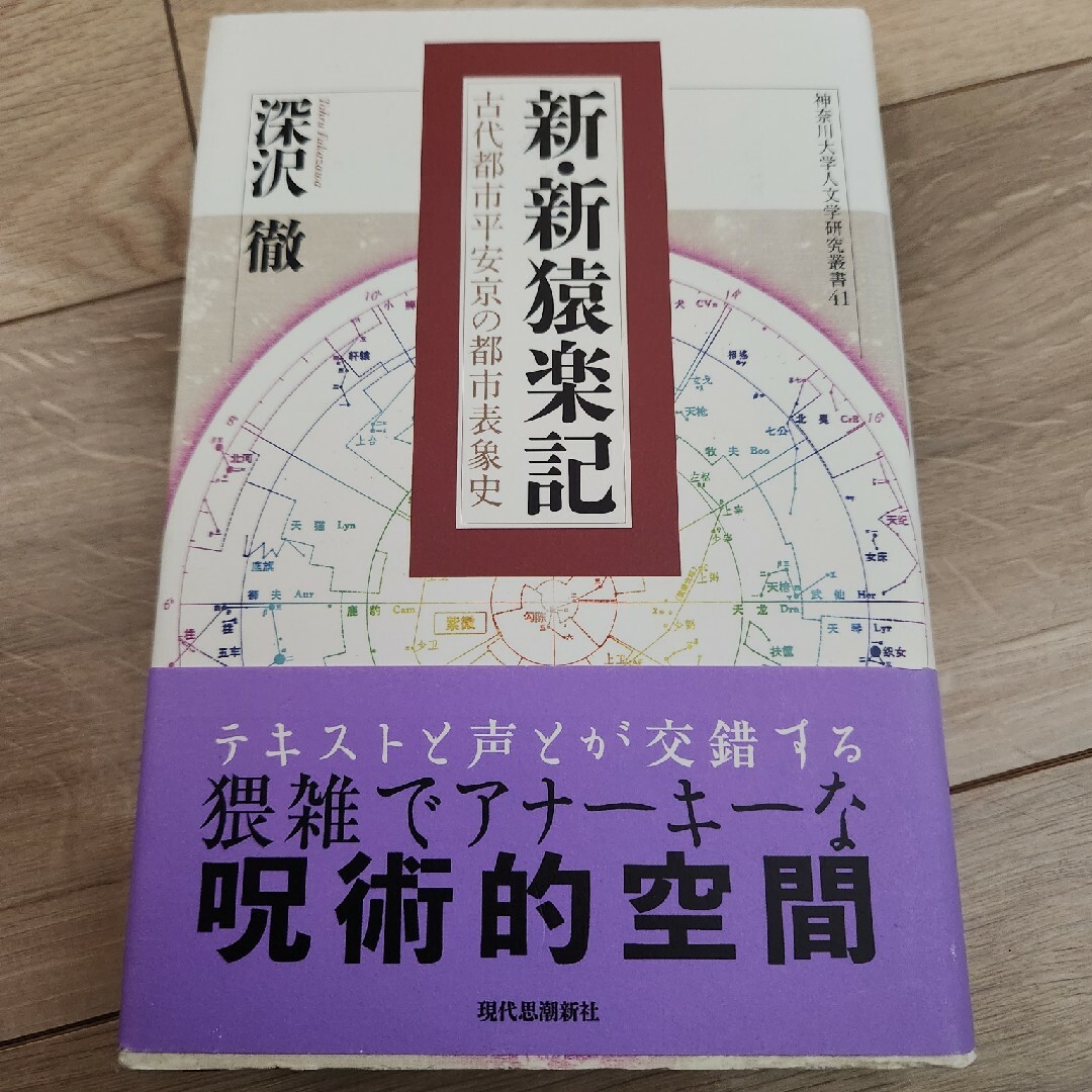 新・新猿楽記 エンタメ/ホビーの本(人文/社会)の商品写真