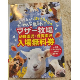 マザー牧場　入場無料券　割引券(動物園)