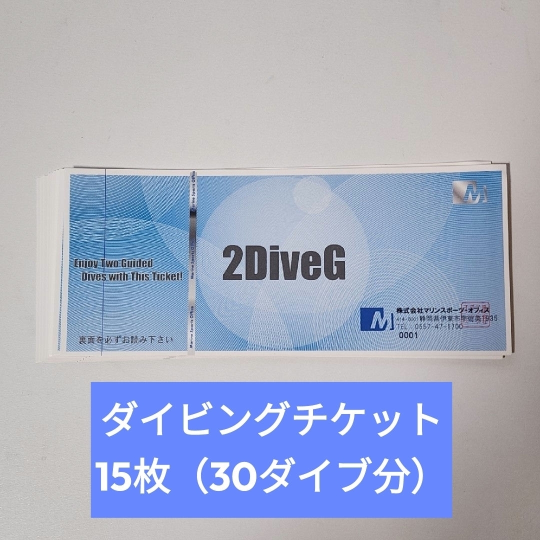 ダイビングチケット 15枚 スポーツ/アウトドアのスポーツ/アウトドア その他(マリン/スイミング)の商品写真
