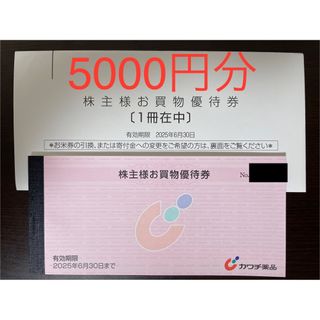5000円分 カワチ薬品 株主優待券(ショッピング)