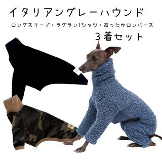イタグレ ペット服 ３点セット