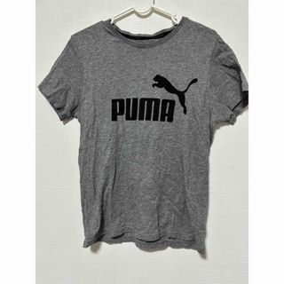 プーマTシャツ 160