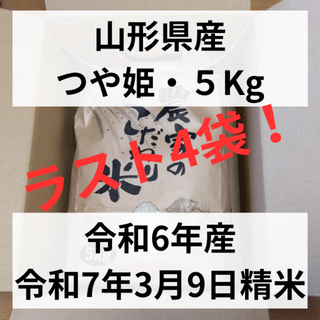 山形県産「つや姫」５Kg 　令和6年産　②(米/穀物)