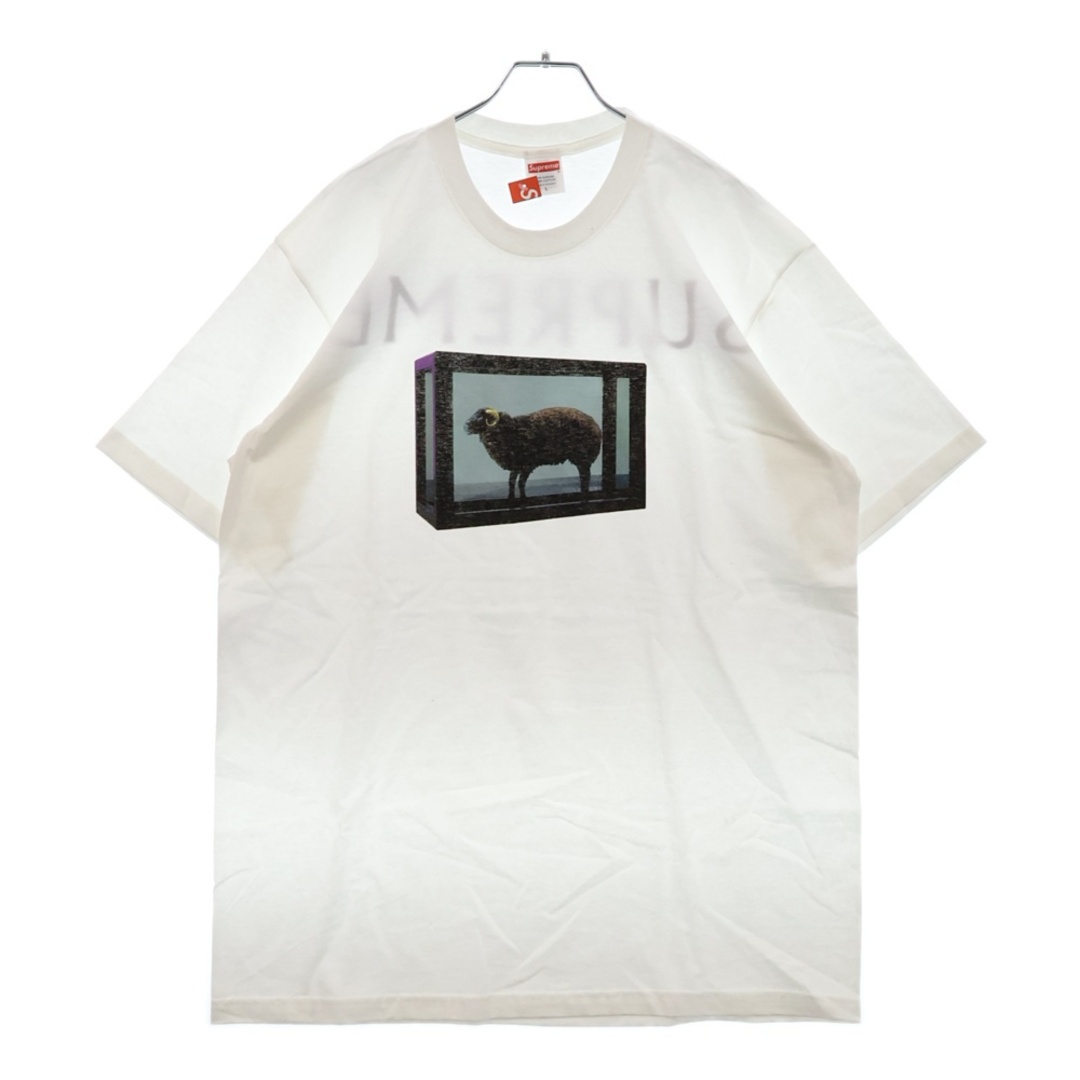 Supreme - SUPREME シュプリーム 25SS Damien Hirst Tee Supreme - SUPREME シュプリーム 25SS Damien Hirst Tee