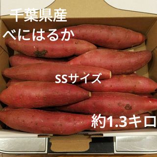 20 千葉県産　べにはるか　さつまいも　サツマイモ　SSサイズ 約1.3㎏(野菜)