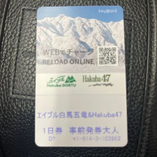 白馬47 リフト券(実質5500円)(スキー場)