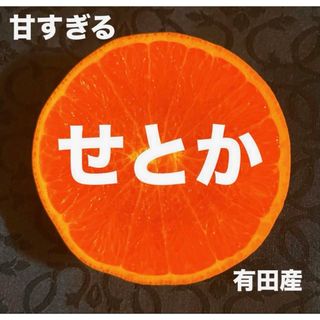 数量限定　甘すぎる　小玉　せとか　みかん　有田産　みかん　果物　旬(フルーツ)