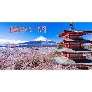 【専用ページ】(ピアス)