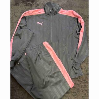 PUMA(ジャージ ・ ピンク/桃色系)のフリマアイテム一覧 PUMA(ジャージ ・ ピンク/桃色系)のフリマアイテム一覧