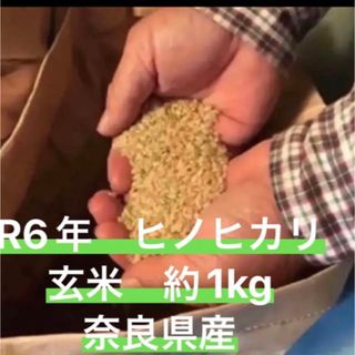 令和6年産　奈良県産 ヒノヒカリ　玄米　約1kg(米/穀物)