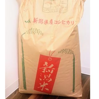 【2月26日精米】令和6年　新米　新潟県　コシヒカリ　容量1.5kg(米/穀物)
