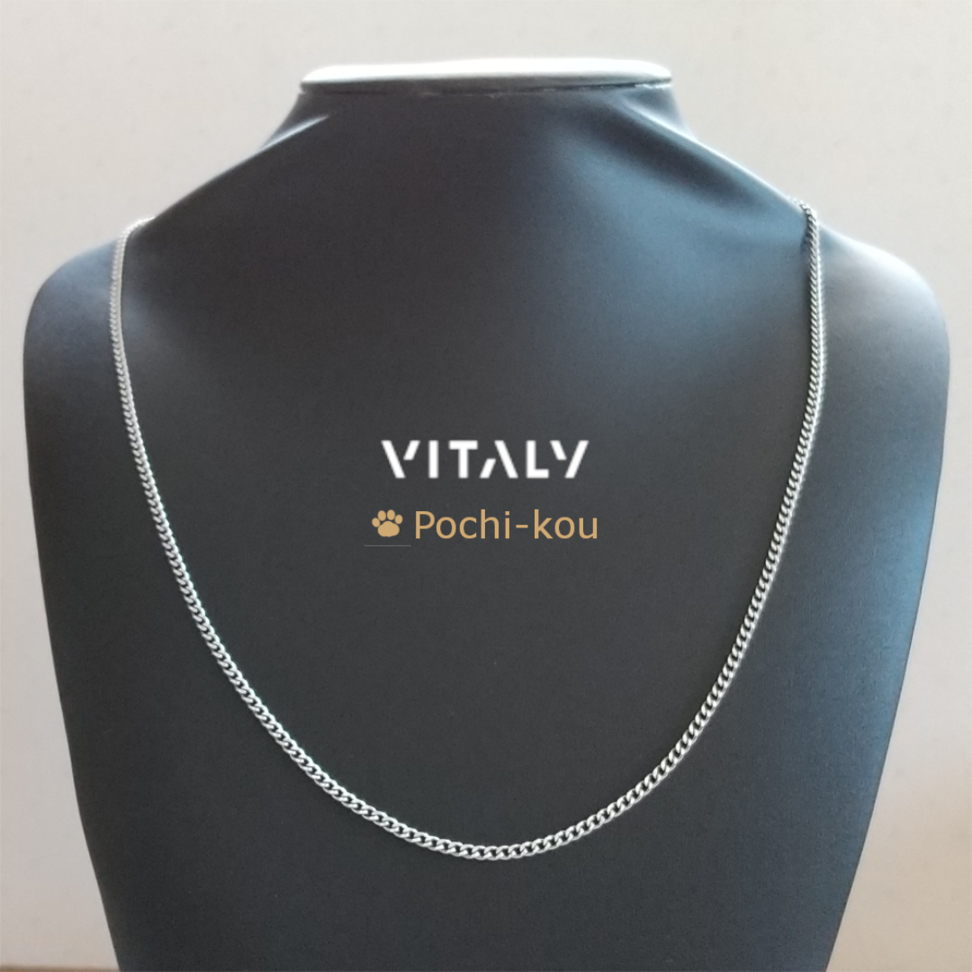 日本未入荷 送関込み ★Vitaly★ Omnia ネックレス Omnia – Vitaly