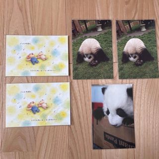 ホールマーク(Hallmark)のポストカード(その他)