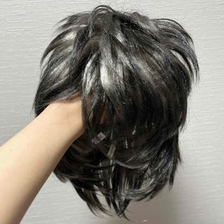 ウィッグ(ウィッグ)