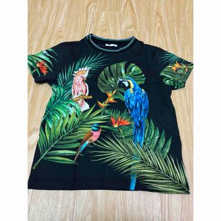 DOLCE&GABBANA(Tシャツ/カットソー)のフリマアイテム一覧 DOLCE&GABBANA(Tシャツ/カットソー)のフリマアイテム一覧