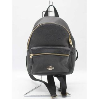 COACH - ⭐️超希少⭐️オールドコーチ ラージデイパックLL COACH - ⭐️超希少⭐️オールドコーチ ラージデイパックLL